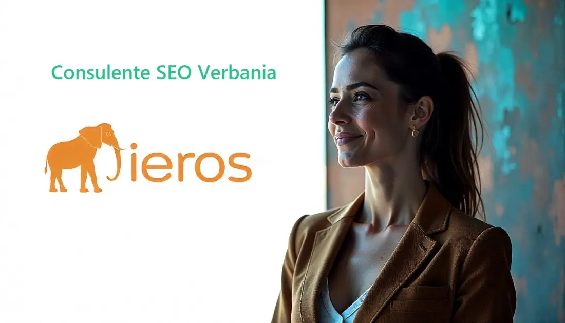 Servizi SEO Verbania Lago Maggiore