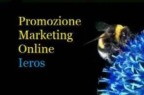 promozione web siti internet online